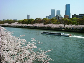 This photo of the Japan's Osaka River at Cherry Blossom time and Osaka's skyline was taken by Midori Sakurai of Osaka.